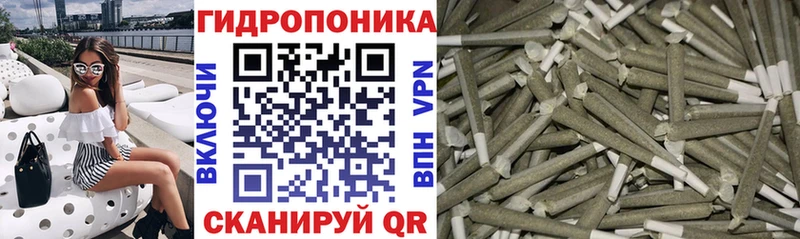купить наркоту  blacksprut tor  МАРИХУАНА сатива  Верхняя Тура 